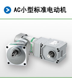 AC小型标准电动机