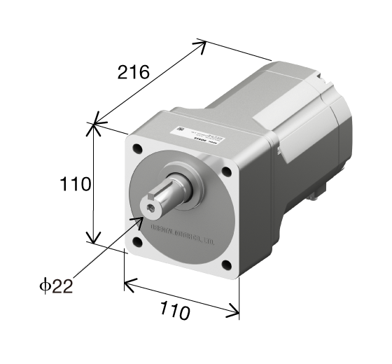 电动机三维尺寸图示：高度110mm，深度216mm，宽度110mm，前端配有直径22mm输出轴